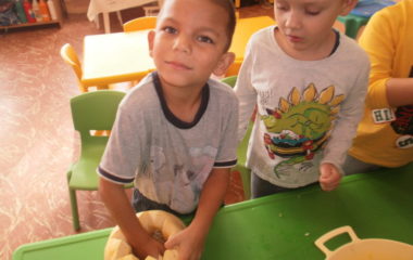 Na podzim u včelky - PA300003 380x240