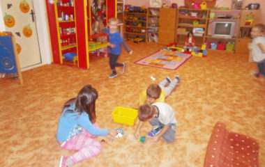 Na podzim u včelky - PA310005 380x240