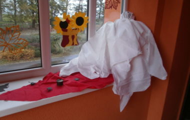 Na podzim u včelky - PB030011 380x240