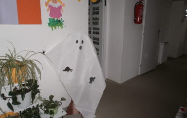 Na podzim u včelky - PB030012 380x240