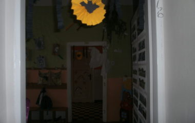 Na podzim u včelky - PB030013 380x240