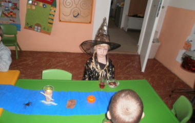 Na podzim u včelky - PB030021 380x240