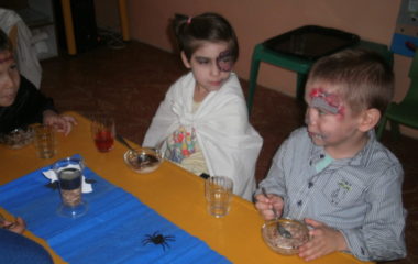 Na podzim u včelky - PB030023 380x240