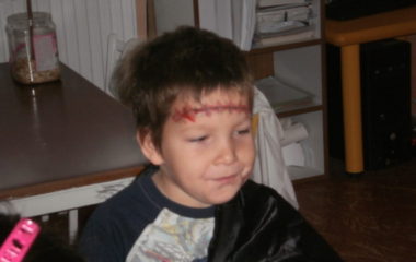 Na podzim u včelky - PB030024 380x240