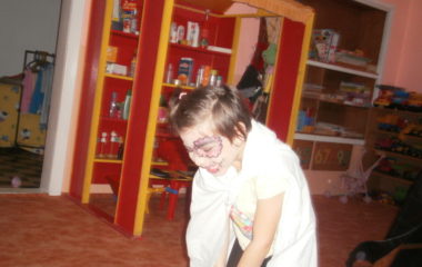 Na podzim u včelky - PB030026 380x240