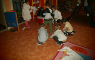 Na podzim u včelky - PB030052 380x240