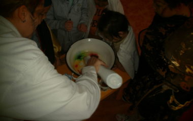 Na podzim u včelky - PB030059 380x240