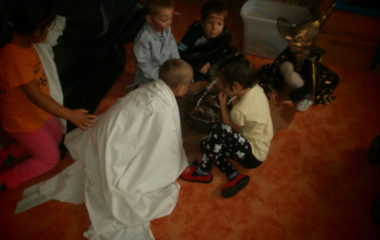 Na podzim u včelky - PB030063 380x240