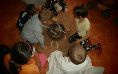 Na podzim u včelky - PB030064 380x240