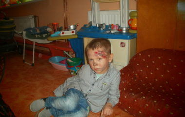 Na podzim u včelky - PB030065 380x240