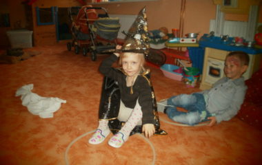 Na podzim u včelky - PB030066 380x240