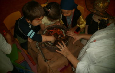 Na podzim u včelky - PB030067 380x240