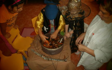 Na podzim u včelky - PB030069 380x240