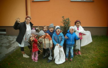 Na podzim u včelky - PB030074 380x240