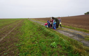 Vycházka s myslivcem - podzimní vycházka s myslivcem 26 380x240