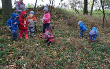 Vycházka s myslivcem - podzimní vycházka s myslivcem 32 380x240