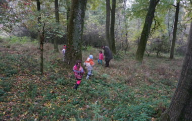 Vycházka s myslivcem - podzimní vycházka s myslivcem 35 380x240