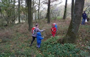 Vycházka s myslivcem - podzimní vycházka s myslivcem 37 380x240