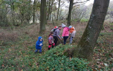 Vycházka s myslivcem - podzimní vycházka s myslivcem 38 380x240