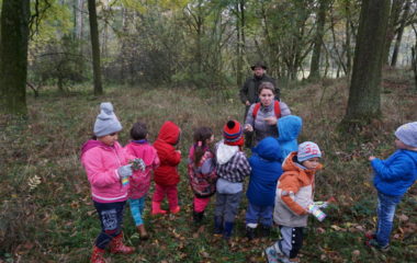 Vycházka s myslivcem - podzimní vycházka s myslivcem 40 380x240