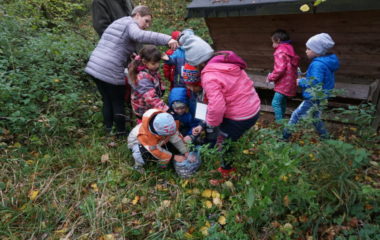 Vycházka s myslivcem - podzimní vycházka s myslivcem 44 380x240