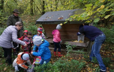 Vycházka s myslivcem - podzimní vycházka s myslivcem 45 380x240