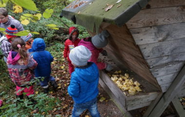 Vycházka s myslivcem - podzimní vycházka s myslivcem 52 380x240