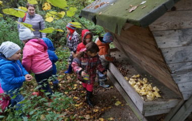 Vycházka s myslivcem - podzimní vycházka s myslivcem 53 380x240