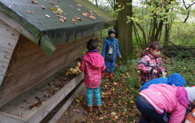 Vycházka s myslivcem - podzimní vycházka s myslivcem 55 380x240