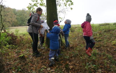 Vycházka s myslivcem - podzimní vycházka s myslivcem 63 380x240