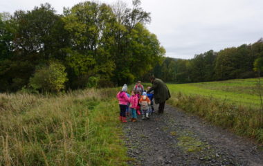 Vycházka s myslivcem - podzimní vycházka s myslivcem 64 380x240