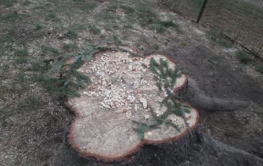 Jak jme prožili adventní čas - PC150137 380x240