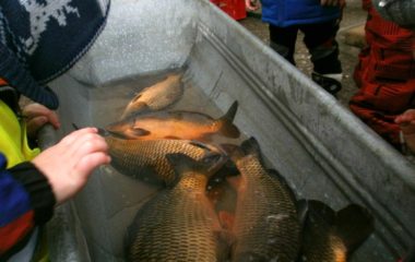 Jak jme prožili adventní čas - PC210034 380x240