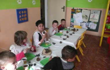 školní rok 2014 - 2015 - P1120131 380x240