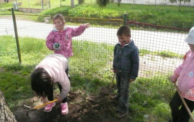 školní rok 2014 - 2015 - P1120162 380x240