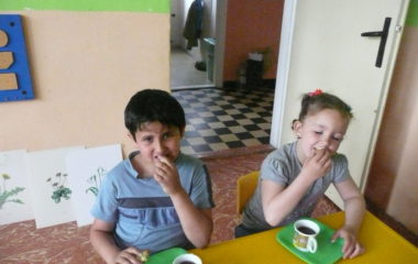 školní rok 2014 - 2015 - P1120187 380x240