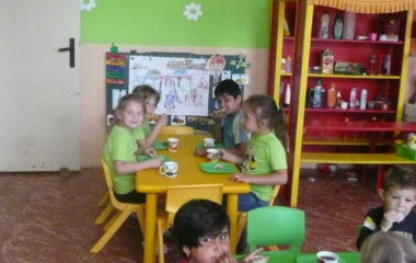 školní rok 2014 - 2015 - P1120355 380x240