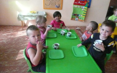 školní rok 2014 - 2015 - P1120357 380x240