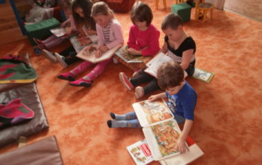 školní rok 2014 - 2015 - P3040006 380x240