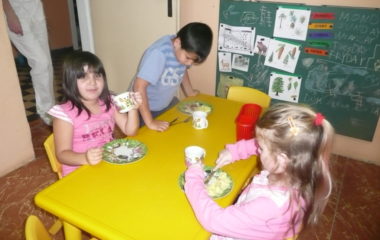 školní rok 2014 - 2015 - pros 1 380x240