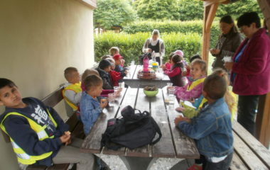 školní rok 2014 - 2015 - výlet2015 21 380x240