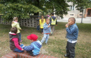 školní rok 2014 - 2015 - výlet2015 45 380x240