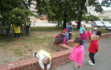 školní rok 2014 - 2015 - výlet2015 46 380x240