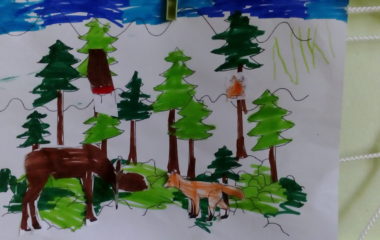 zima už je tu - DSC 5310 380x240