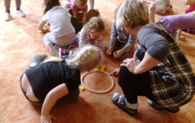 Předjaří - DSC 5339 380x240