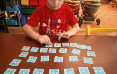 Předjaří - P3080001 380x240