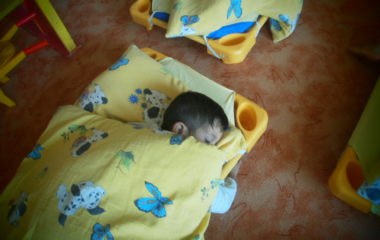 první týden ve školce - P9040041 380x240