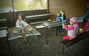 pouštění draků - PA170145 380x240