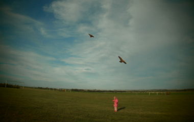 pouštění draků - PA170165 380x240