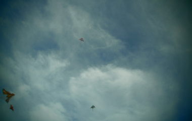 pouštění draků - PA170166 380x240